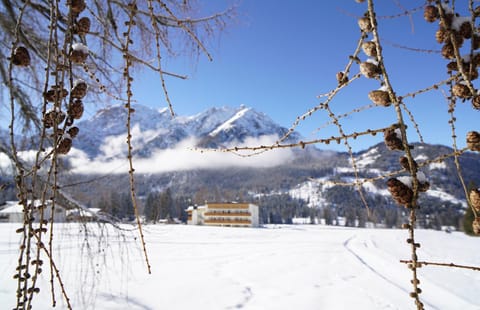 Property building, Winter, Mountain view
