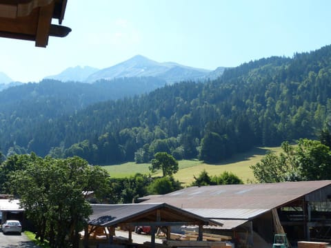 Appartement familial proche pistes, animaux acceptés - FR-1-304-133 Apartment in La Clusaz