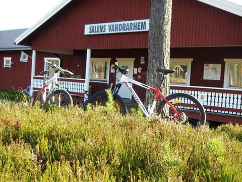 Cycling, Cycling