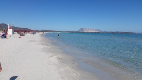 Natural landscape, Beach