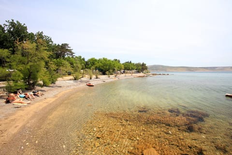 Natural landscape, Beach, Hiking