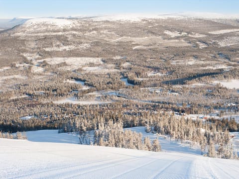 Off site, Day, Natural landscape, Activities, Winter, Ski School, Ski School, Skiing, Skiing, Seasons, internet