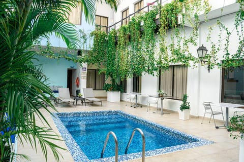 Garden, Swimming pool, sunbed