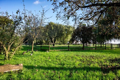 Agri Village Pavia Campground/ 
RV Resort in Lombardy