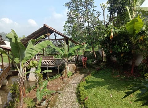 Area and facilities