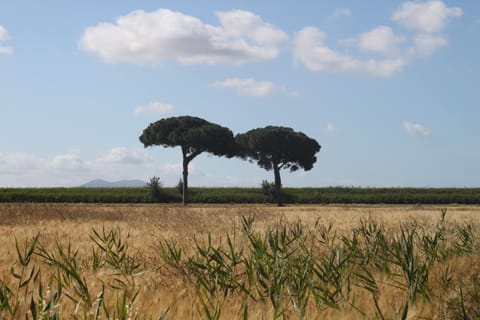 Agriturismo San Luigi Country House in Tuscany