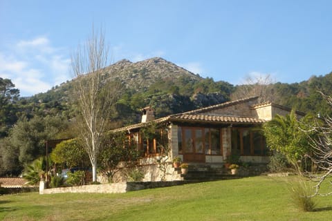 Property building, Garden view
