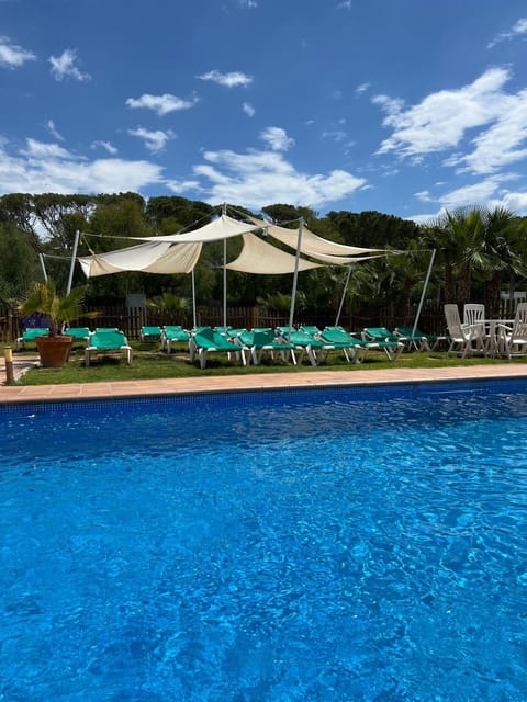 Pool view, Swimming pool, sunbed