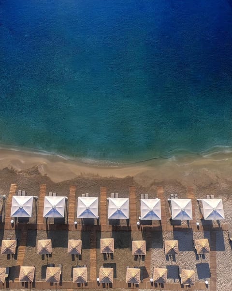 Beach, Area and facilities