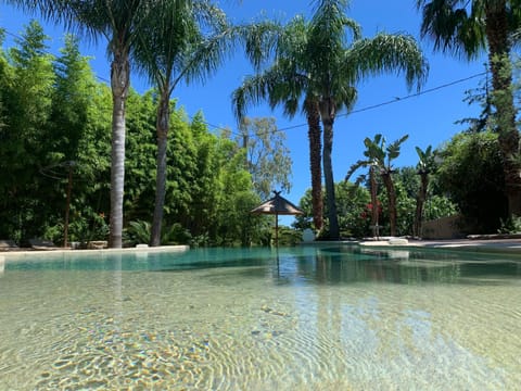 Natural landscape, Garden, Swimming pool