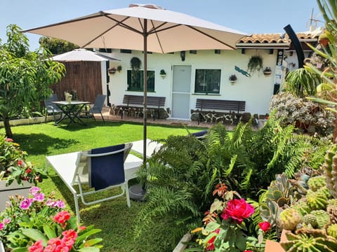 Garden, Garden, Solarium, sunbed
