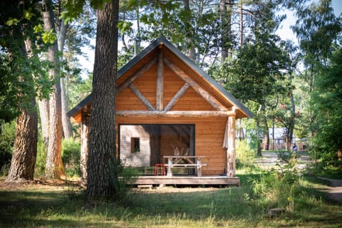 Patio, Natural landscape, Photo of the whole room