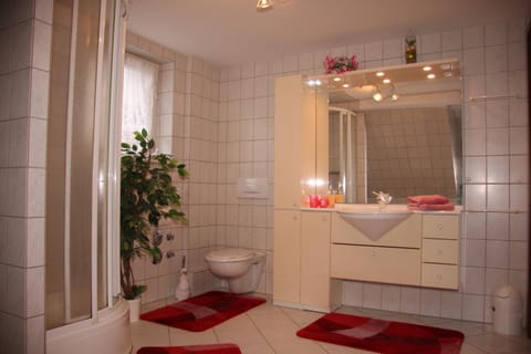Shower, Toilet, Bathroom, towels