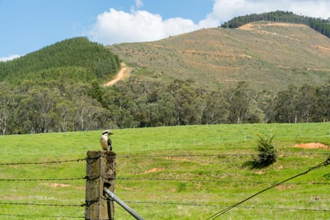 Nearby landmark, Mountain view