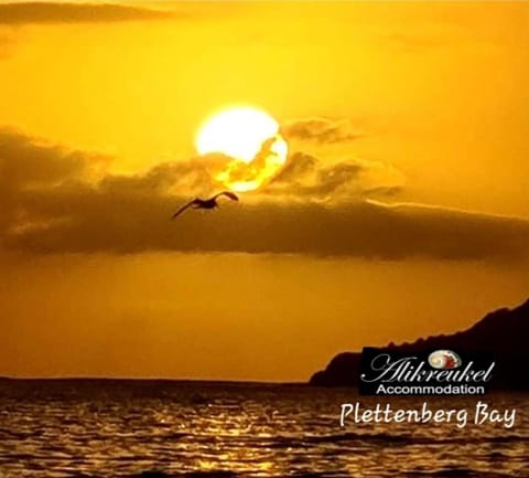 Alikreukel Accommodation Bed and Breakfast in Plettenberg Bay