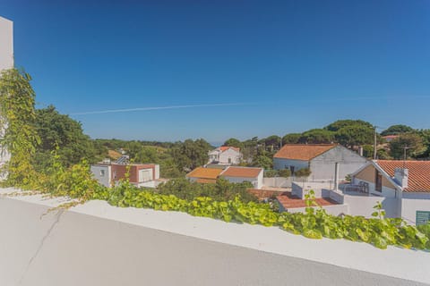 Natural landscape, City view, Street view