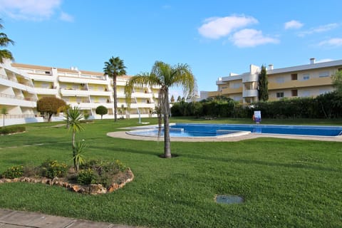 Garden, Garden view, Pool view, Swimming pool, Swimming pool