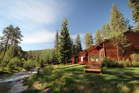 Property building, River view, Area and facilities