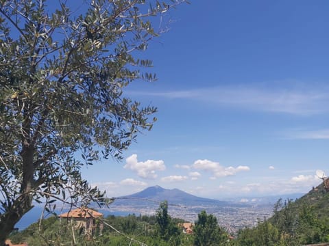 Day, Natural landscape, Mountain view, Pool view