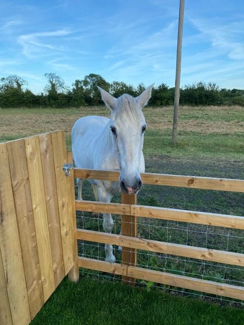 Mowbray Stable Cottages House in Borough of Harrogate