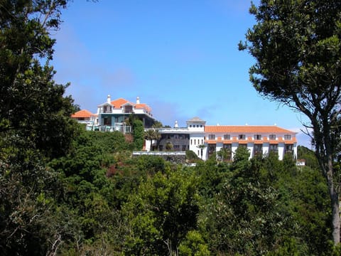Property building, Bird's eye view