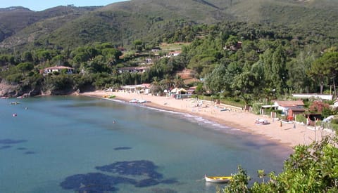 Beach, On site