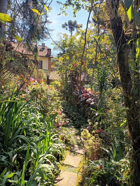 Inner courtyard view