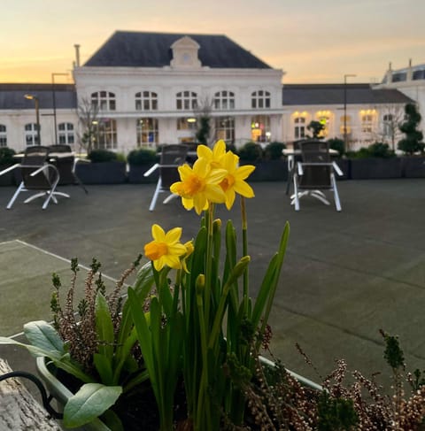 Garden, Decorative detail, Garden view
