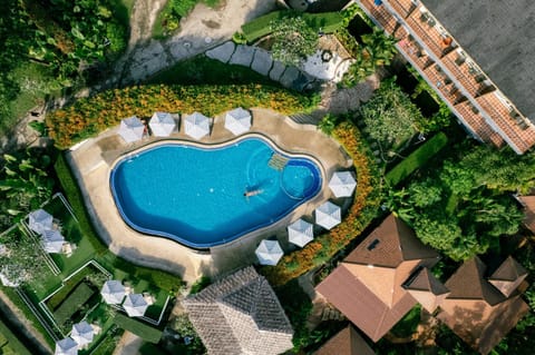 Property building, Day, Bird's eye view, Guests, Pool view, Swimming pool, sunbed