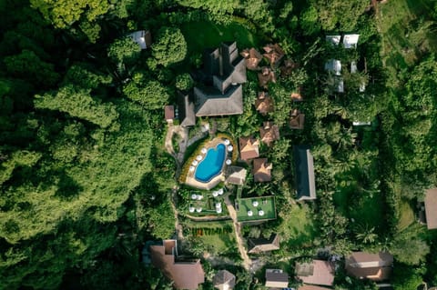 Property building, Natural landscape, Bird's eye view, Pool view, Swimming pool