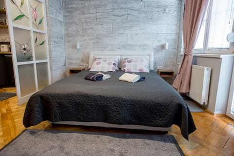 Apartment Studio Milena Apartment in Vojvodina