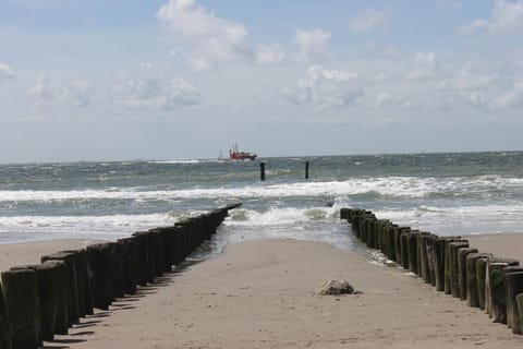 Natural landscape, Beach