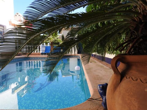 Swimming pool, Swimming pool