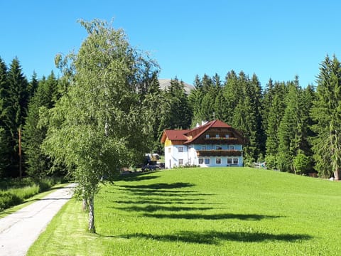 Natural landscape, Summer, On site