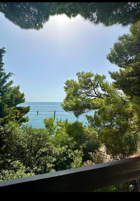 Apartment Botanicheskiy Sad Apartment in Montenegro