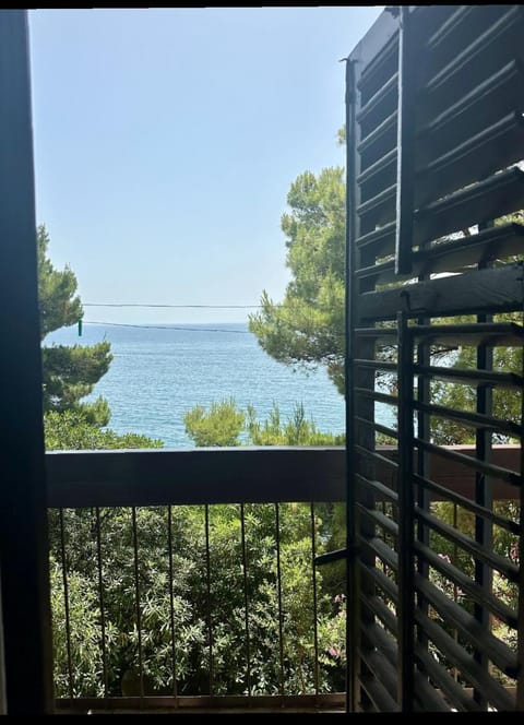 Apartment Botanicheskiy Sad Apartment in Montenegro