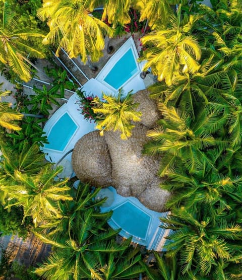 Day, Natural landscape, Bird's eye view, Garden, Garden view, Swimming pool