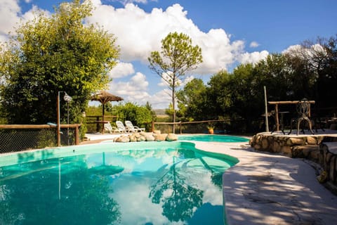 Day, Natural landscape, Pool view, sunbed