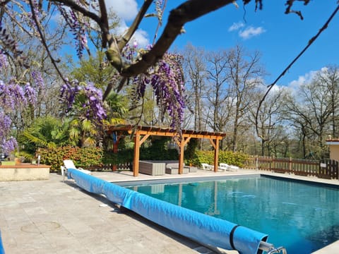 Spring, Day, Garden, Garden view, Pool view, Swimming pool, Swimming pool, sunbed