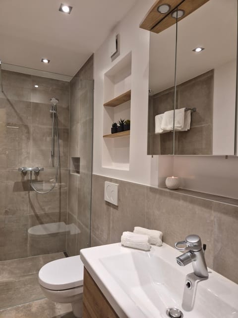 Shower, Toilet, Bathroom, towels