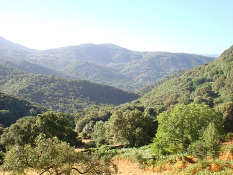 Mountain view