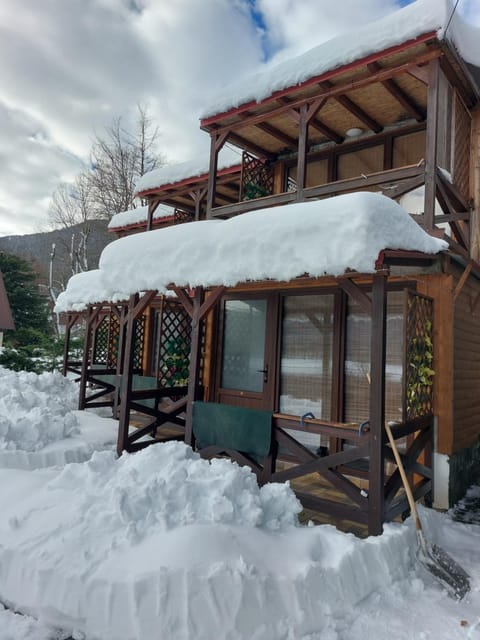 Vila Jana Mavrovo Apartment in North Macedonia