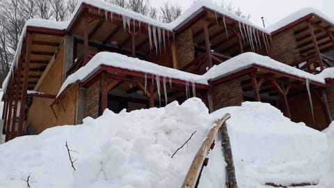 Vila Jana Mavrovo Apartment in North Macedonia