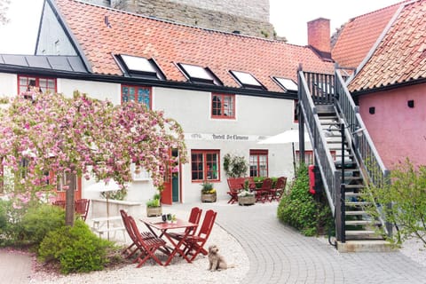 Property building, Patio, Spring, Day, Garden, Garden view