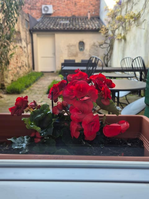 19 Borgo Cavour Bed and Breakfast in Treviso