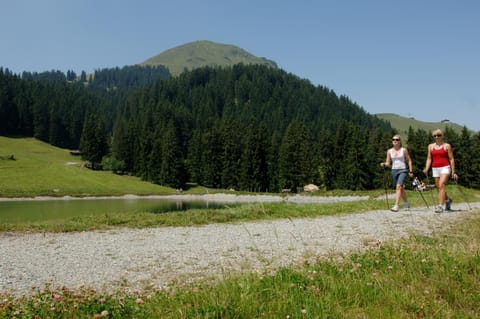 Bergpension Zinting Bed and Breakfast in Salzburgerland