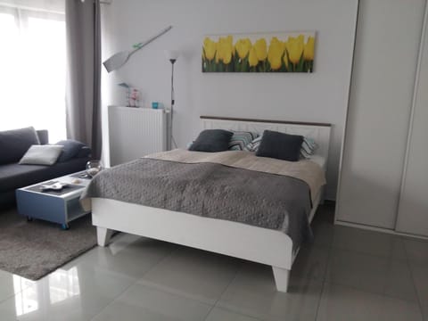 Gracja Horyzont-apartament z parkingiem Apartment in Miedzyzdroje