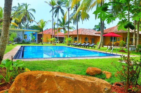 Garden, Pool view, Swimming pool