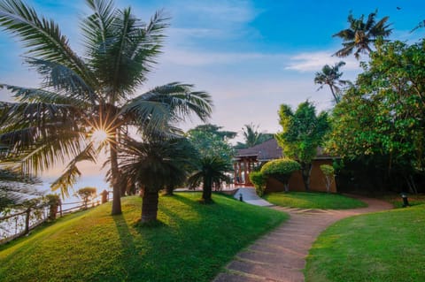 Natural landscape, Garden, Lake view
