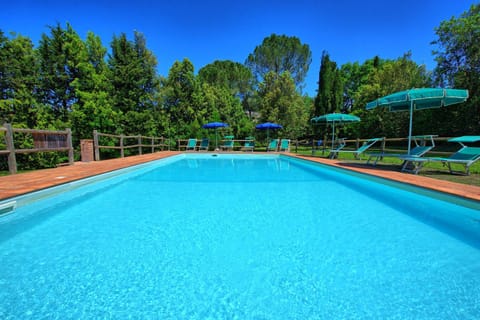 Day, Pool view, Swimming pool, sunbed